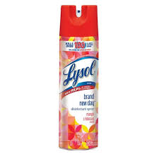 lysol brand new day 19 oz mango and