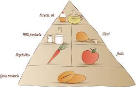Food Pyramid Stock Vector Illustration Of Grains Calories