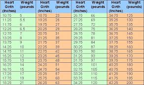 The Chart Above Lists Heart Girth Measurements And The