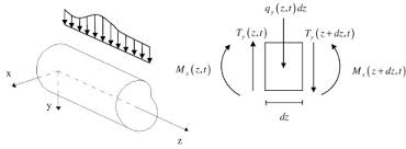 fractional visco elastic euler