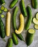 Why do Persian cucumbers get slimy?