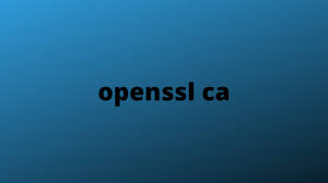 openssl ca mister pki