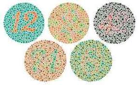 Details About Framed Print Colour Blindness Test Chart Picture Poster Ishihara Eye Chart