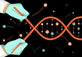 human gene editing