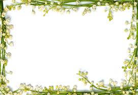 frame design flower frame hd wallpaper