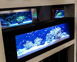Kemilau aquarium berdiri pada tahun 2016 dijalan no.243 dijalan raya punggai no.243 siteba, kelurahan kurao pagang,kecamatan nanggalo. Seazone Mid Valley Megamall