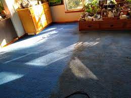 carpet cleaning central point or 541