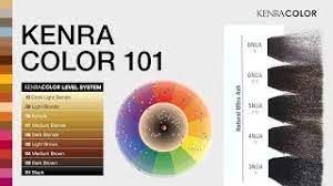 kenra color 101 discover kenra color
