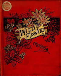 Print Wild Flowers Victorian