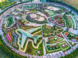 dubai miracle garden is the place to