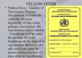 yellow fever vaccination in uganda and