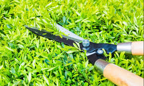 Garden Tool Sharpening Service
