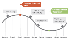 The Cycle of Emotions and Long-term Investing - Mesa Financial Group