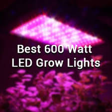 10 Best 600 Watt Led Grow Lights Of 2020 Grow Weed Indoor