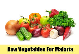 Malaria Fighting Food Gourmet Guide 234 Kitchen