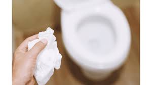 Unclog Toilet Clogged With Flushable Wipes