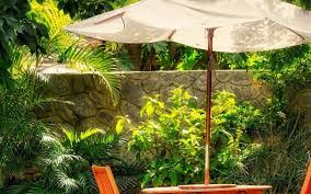 Garden Parasol Expert Buyers Guide Top