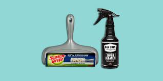 6 best interior car cleaners of 2024