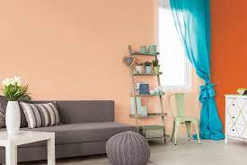 Berger Paints Wall Painting Goodhomes