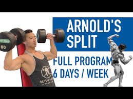 arnold split program for beginners 6