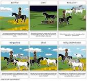 what-is-the-setting-of-black-cowboy-wild-horses