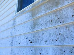 painting aluminum siding how can i