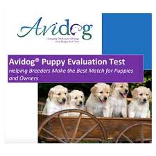 Puppy temperament tests can tell you whether a pup is prone to dominance or submission, although training can alter some of those tendencies. Avidog Puppy Evaluation Test Avidog University