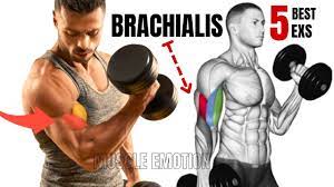 5 best brachialis workout at gym to get