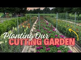 Planting A Quarter Acre Of Cut Flowers