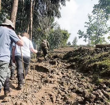 Dian Fossey Tomb Hike Tour - Cost and Hiking Tips