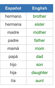Family Vocabulary Spanish School Amino