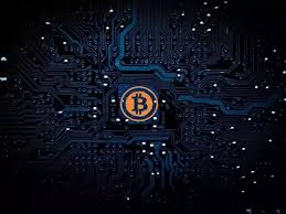 He started to acquire bitcoins in the early stages at a very low price. Who Is Profiting From Bitcoin Quora