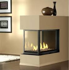 Gas Fireplace Wood Fireplace
