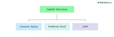 Capital Structure Formula Calculator