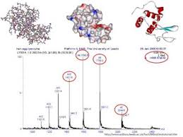 Mass Spectrometry For Proteomics Part One
