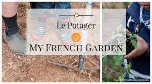 My Little French Garden A Vegetable