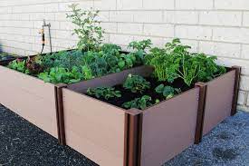Own Vegetables With A Raised Garden Bed