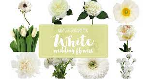 Check out our white flower bouquet selection for the very best in unique or custom, handmade pieces from our bouquets shops. White Wedding Flowers Guide Types Of White Flowers Names Pics