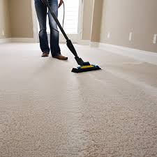 keep your carpets clean and stainless