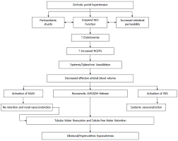 Hyponatremia In Cirrhosis Pathophysiology And Management