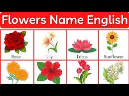 english voary 35 flowers name