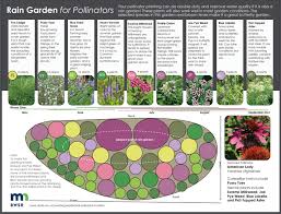 How To Plant A Pollinator Garden