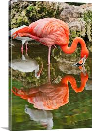 Florida Davie Flamingo Gardens West