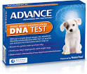 Advance DNA