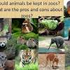 Pros and cons of zoos