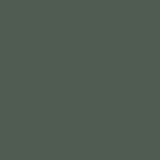 Dark Green Velvet T15 74 6 Paint Colour