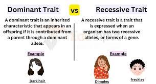 differences between dominant and