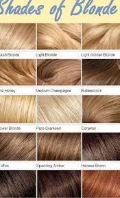 choosing a hair color hairtoday org