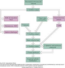 Hypovolemic Shock Nursing Iv Types Of Shock Cardiology