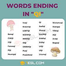 Words ending in qi